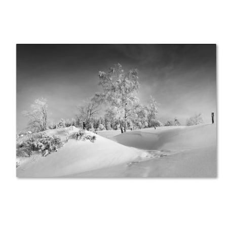 Philippe Sainte-Laudy 'Dressed For Winter B&W' Canvas Art,30x47